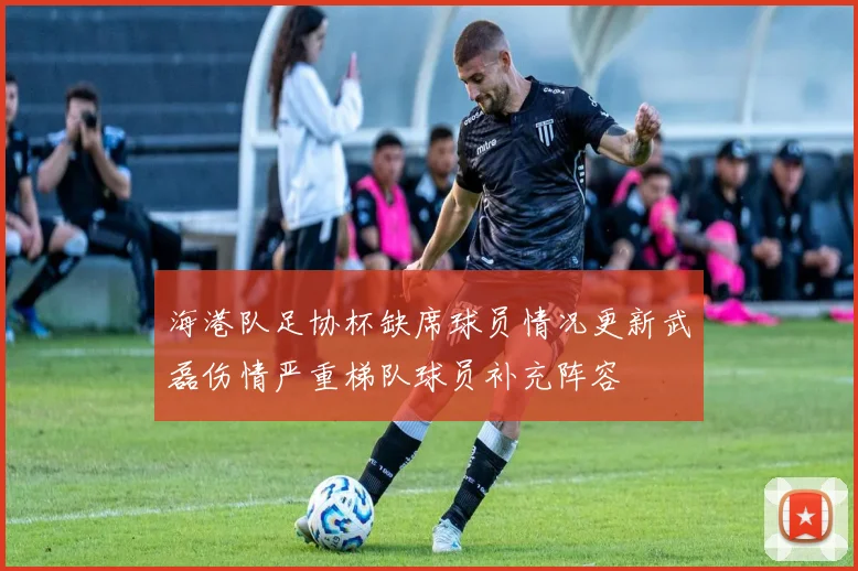海港队足协杯缺席球员情况更新武磊伤情严重梯队球员补充阵容
