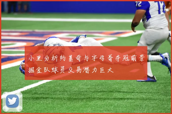 小里分析约基奇与字母哥夺冠前景掘金队球员交易潜力巨大